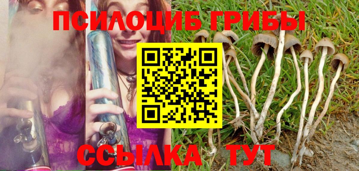 Нижневартовск  Псилоцибиновые грибы ЛСД  что такое   Вход с VPN 