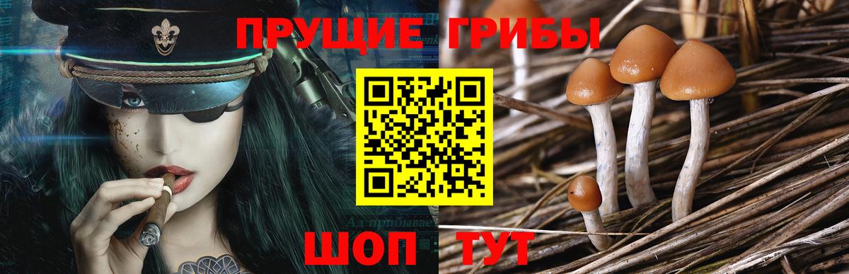 Псилоцибиновые грибы GOLDEN TEACHER Нижневартовск